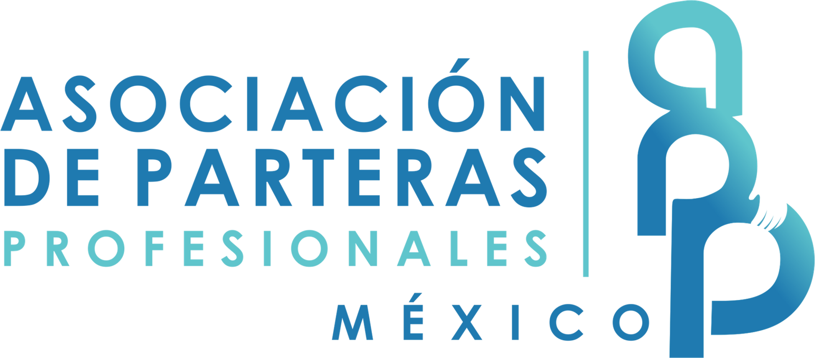 Asociación de Parteras Profesionales